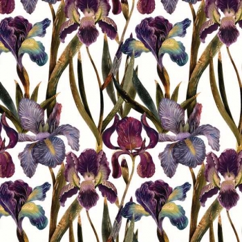 Бумага подарочная 70*100см,  Bruno Visconti FLORA.ИРИСЫ в рулонах, 80 г/м2, 1 лист  арт.2-811/03