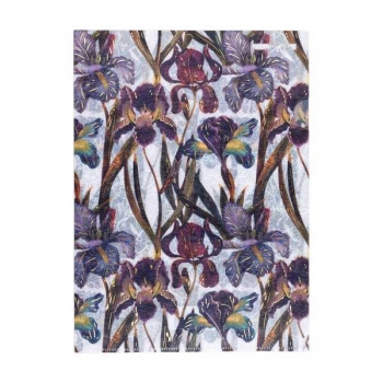 Папка-уголок А4 Bruno Visconti FLORA.ИРИСЫ  арт.14-038/12