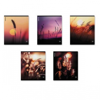 Тетрадь 48л в клетку ErichKrause Macro Nature, матовая ламинация арт.64861