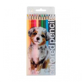 Карандаши Bruno Visconti   12цв CUTE FRIENDS. ЩЕНОЧЕК пластиковые, шестигранные,  в PET упаковке арт.30-0046/01