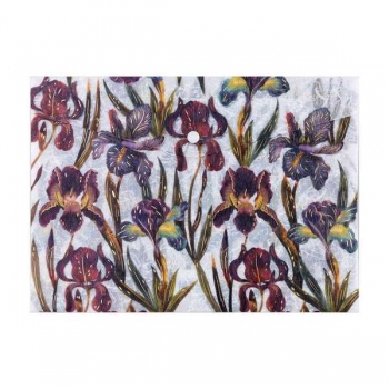 Папка-конверт А4 (335x235мм) на кнопке Bruno Visconti FLORA.ИРИСЫ, 180мкм, полупрозрачная, с рисунком  арт.14-036/18