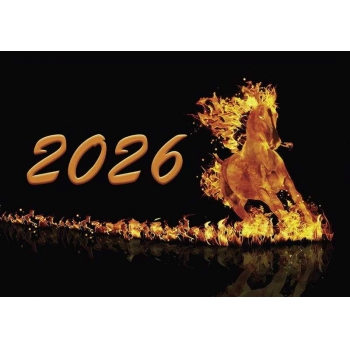 Календарь настенный квартальный на 2026г. (3 пружины) Огненная лошадь с мет. окантовкой арт.25с42_Огненная лошадь