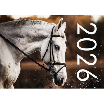 Календарь настенный на пружине на 2026г.30х46см Белая лошадь с метал. окантовкой арт.25с41_Белая лошадь