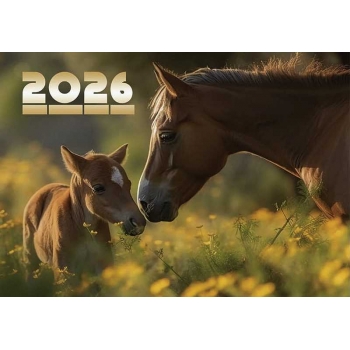 Календарь настенный на пружине на 2026г.30х46см Лошадь с жеребенком с метал. окантовкой арт.25с41_Лошадь с жеребенком