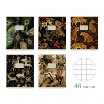 Тетрадь 48л в клетку Bruno Visconti FAUNA.ANIMALS,  ассорти 5 видов арт.7-48-1393