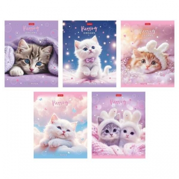 Тетрадь 48л в клетку  пластиковая обложка Hatber Нежные мечты арт.48Т5В1пл/092369