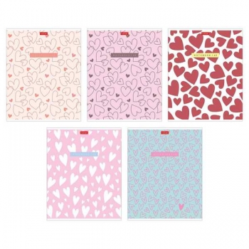 Тетрадь 48л в клетку  пластиковая обложка Hatber LOVE IS.... арт.48Т5В1пл/092371