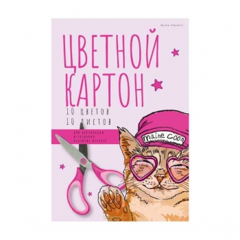 Набор цветного картона А4 10 цв. (10 л) Bruno Visconti EASY в папке арт.11-410-319/01
