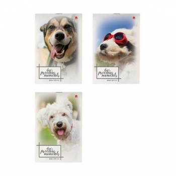 Блокнот А6 40л на скрепке Щеночки в клетку, ассорти 3 вида арт.3-40-579