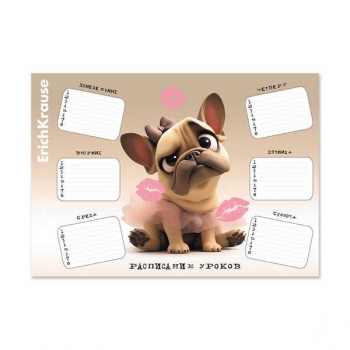 Расписание уроков А4 ErichKrause Frenchie арт.65308