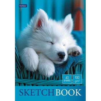 Скетчбук-блокнот А5 40л. на склейке Hatber Носики и ушки, 100г/м2, глянц. лам., жесткая подложка арт.40Б5лAк/087786
