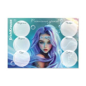 Расписание уроков А4 ErichKrause Aquamarine арт.65309